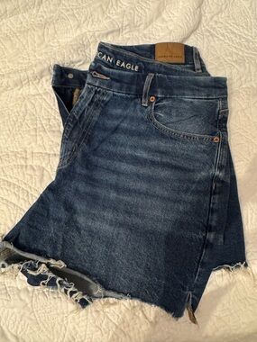 American Eagle Outfitters Dark Blue Denim Shorts - Women's